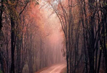 开云-【魔幻对决】小组赛NBA惊现足球巨星！哈兰德率神秘队险胜葡萄牙引爆全球热搜