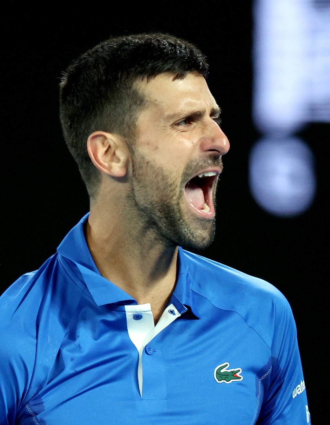 包含法国网球队血洗世界网球队，德约科维奇三分雨点燃全场的词条