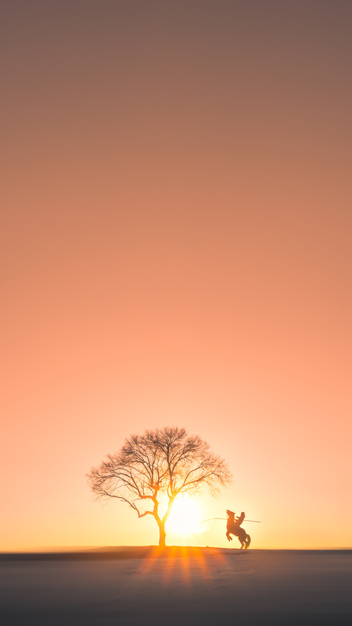 羽坛新纪元，印度队客场横扫印尼创历史，黄鸭组合缔造不可复制的辉煌