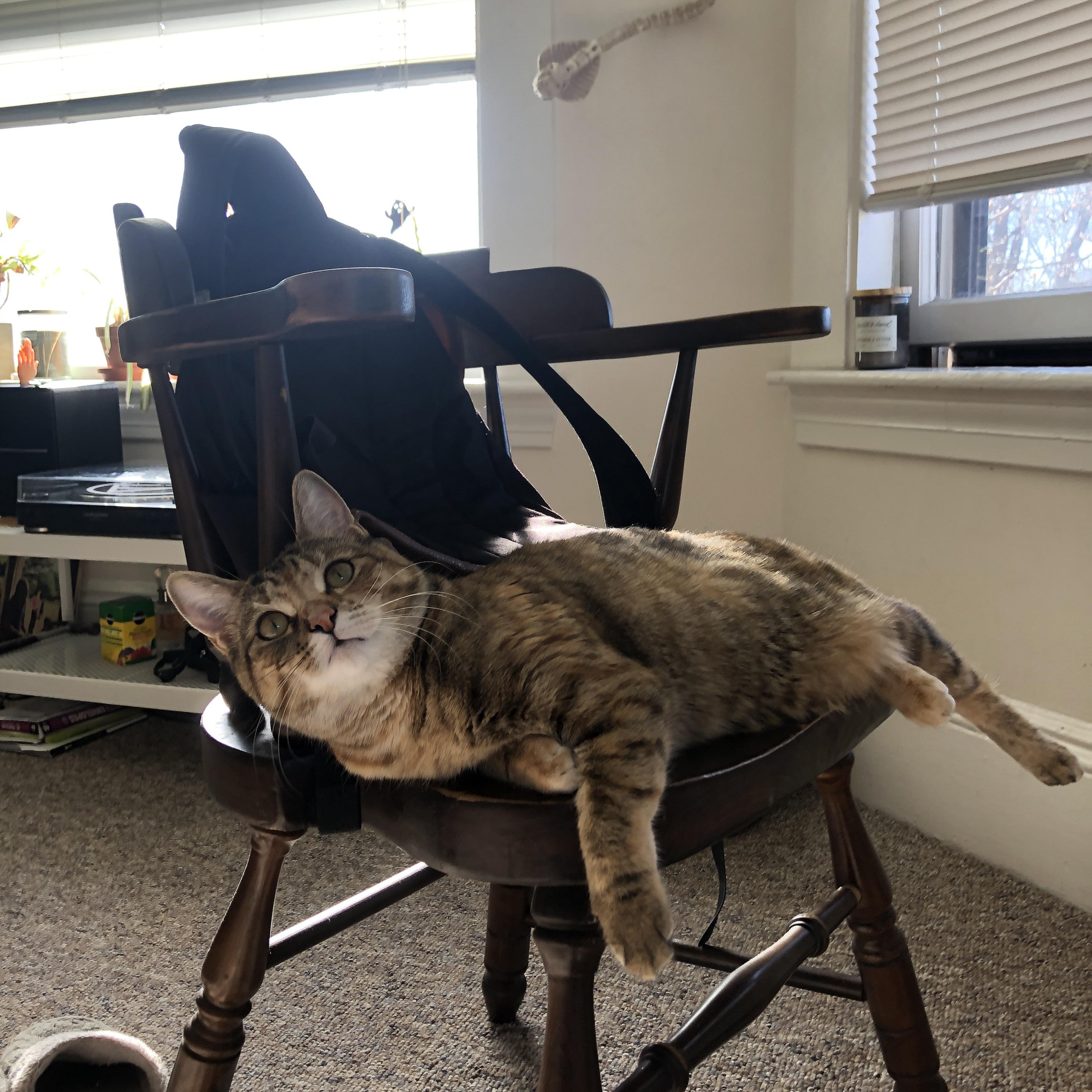 当南大王遇上红军,球风相克的宿命对决,努涅斯如何成为关键先生?