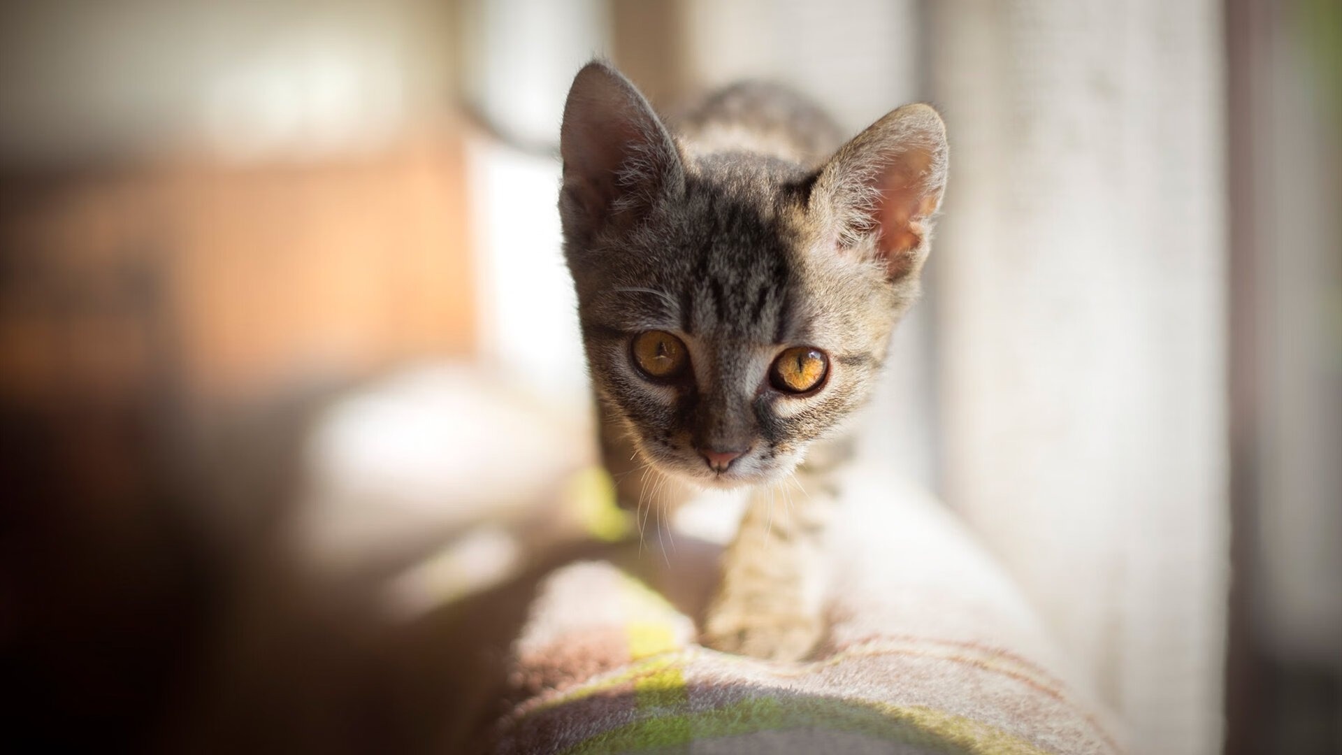 乔治的洛杉矶画作，一笔一划，打穿奥兰多魔术的防线