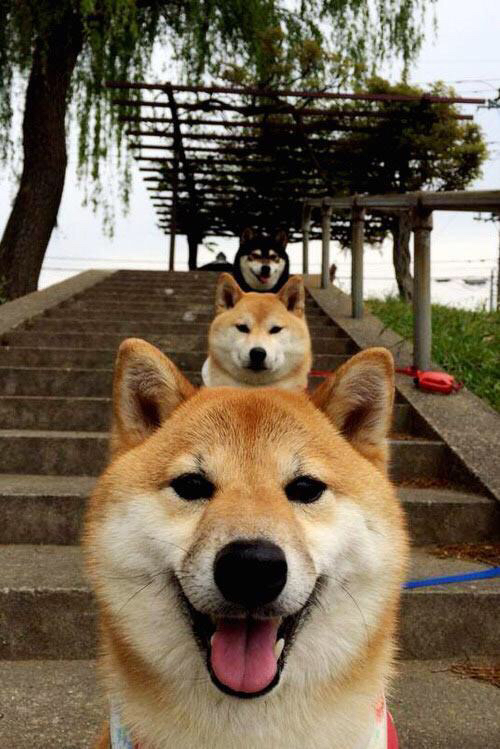 开云体育在线-克瓦拉茨赫利亚生涯之夜闪耀，拜仁慕尼黑险胜皇家社会